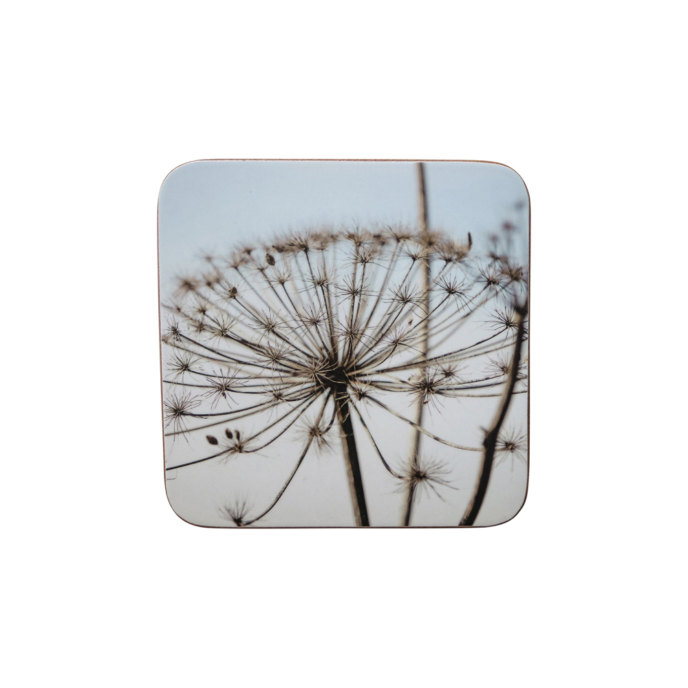 Scoznb 0 0569db8f103e9ae4ea245a8de916579743b61375d01cd33d02c94c86e3104c57